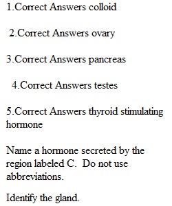 Lab 3 Exam